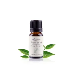Aceite esencial de árbol del té ecológico - Labiatae