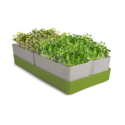 Bandeja Geo Smart Greens y 2 bolsas de sustrato para microgreens - Bavicchi