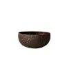 Bol de coco natural - Coconut