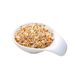 Bolsitas Pep Up de alfalfa para germinar ecológicas