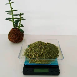 Báscula de cocina digital y de precisión, acero inoxidable - Lacor
