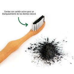 Cepillo de dientes de bambú, cerdas duras y con carbón activo - Bambaw