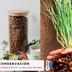Chufa molida ecológica, 1 kg - Món Orxata