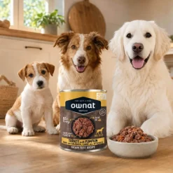 Comida húmeda para perros de pavo y calabaza, Wetline, 395 g - Ownat