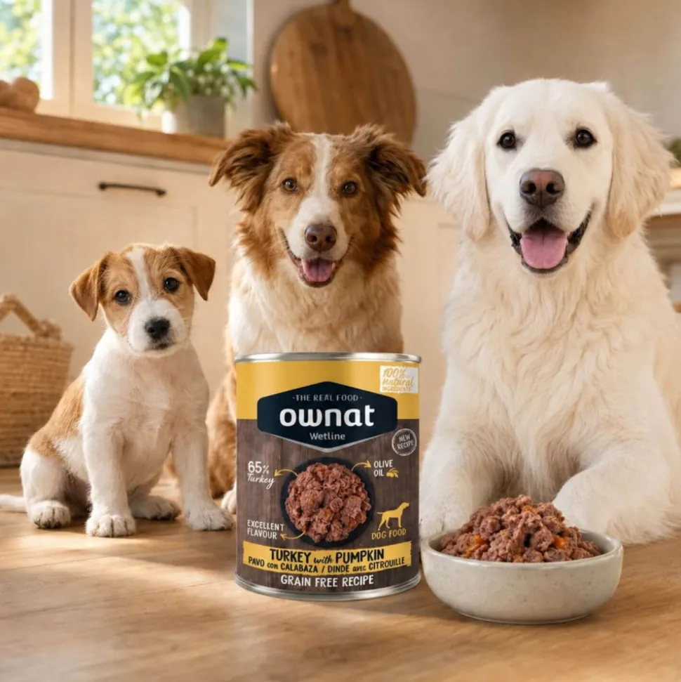 Comida húmeda para perros de pavo y calabaza, Wetline, 395 g - Ownat