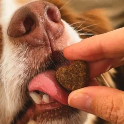 Complemento digestivo para perros y gatos, 120 masticables - The Doog Life