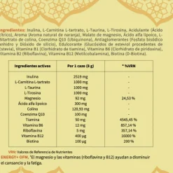 Energy (inulina, taurina, tirosina, alfa lipoico +Q10+ colina+mg+B), 480 g - OFM