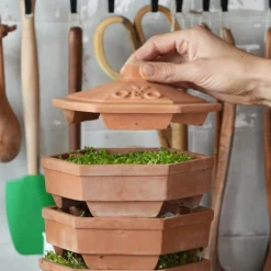 Germinador de barro, 3 bandejas - Bavicchi GEO