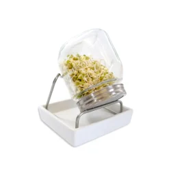 Germinador de 1 tarro con bandeja - 1000 ml