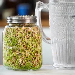 Germinador de 3 tarros con bandeja - 750 ml