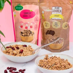 Granola de arándanos y coco sin gluten con semillas, ecológica - Zealia