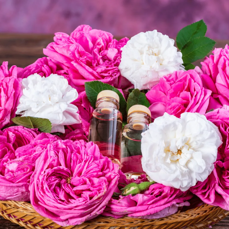 Hidrolato de rosas ecológico - Labiatae