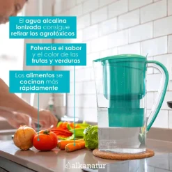 Jarra filtradora de agua con filtro de coco, 1,4 l - Alkanatur
