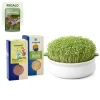 Kit de inicio para germinar en plato, para semillas mucilaginosas y no mucilaginosas - Conasi