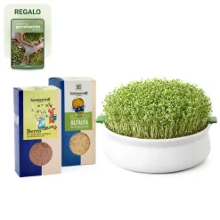 Kit de inicio para germinar en plato, para semillas mucilaginosas y no mucilaginosas - Conasi
