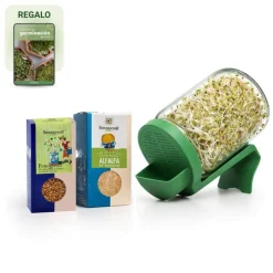 Kit de inicio para germinar en tarro, para semillas no mucilaginosas - Conasi