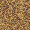 Mezcla de semillas de alfalfa y rúcula para germinar ecológicas - Germ'line