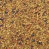 Mezcla de semillas de alfalfa, berro y col para germinar ecológicas - Germ'line