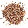 Mezcla de semillas para germinar ecológicas - Sonnentor