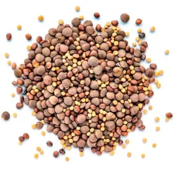Mezcla de semillas para germinar ecológicas - Sonnentor