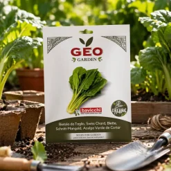 Semillas de acelga verde ecológicas, 5 g - Bavicchi GEO