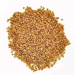 Semillas de alfalfa para germinar ecológicas - Sonnentor