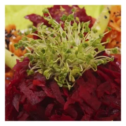 Semillas de brócoli calabrese para germinar, ecológicas