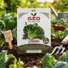 Semillas de brócoli Calabrese temprano ecológicas, 4 g - Bavicchi GEO