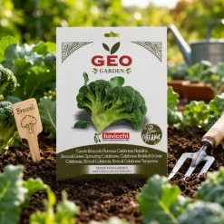 Semillas de brócoli Calabrese temprano ecológicas, 4 g - Bavicchi GEO