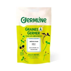Semillas de brócoli raab para germinar, ecológicas