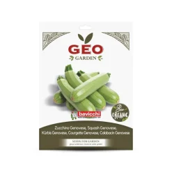 Semillas de calabacín Genoves ecológicas, 5 g - Bavicchi GEO
