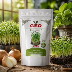 Semillas de cebolla para microgreens ecológicas, 150 g - Bavicchi GEO