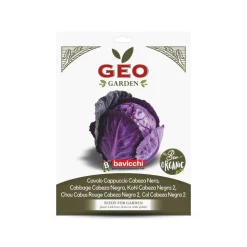 Semillas de col lombarda ecológicas, 3 g - Bavicchi GEO