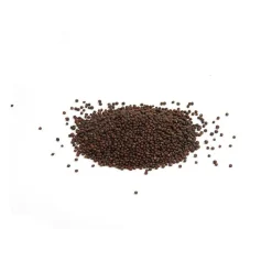 Semillas de col lombarda para germinar ecológicas