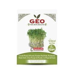 Semillas de col rizada roja de Rusia para microgreens ecológica, 15 g - Bavicchi GEO
