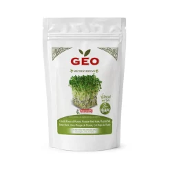 Semillas de col rizada roja de Rusia para microgreens ecológicas, 300 g - Bavicchi GEO
