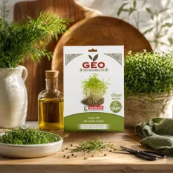 Semillas de eneldo para microgreens ecológicas, 15 g - Bavicchi GEO