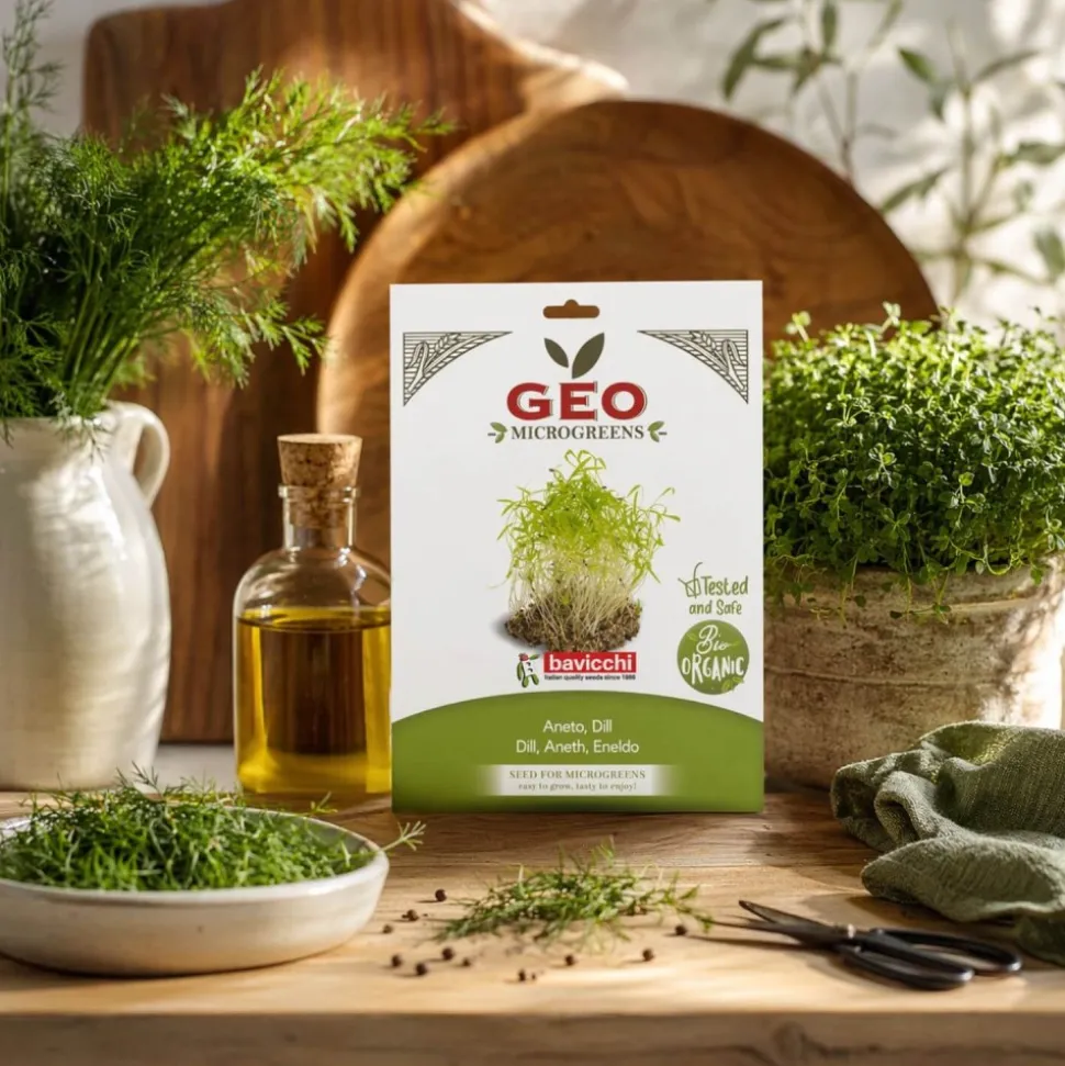 Semillas de eneldo para microgreens ecológicas, 15 g - Bavicchi GEO