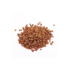 Semillas de fenogreco para germinar ecológicas - Sonnentor