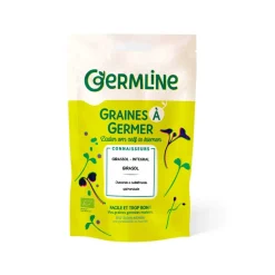 Semillas de girasol para germinar ecológicas