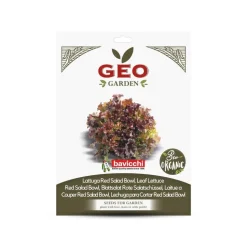 Semillas de lechuga de hoja roja ecológicas, 2 g - Bavicchi GEO