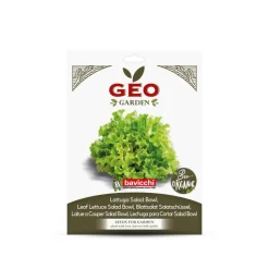 Semillas de lechuga de hoja verde ecológicas, 2 g - Bavicchi GEO
