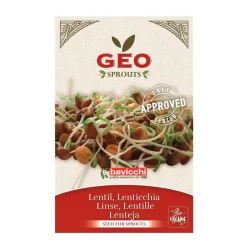 Semillas de lentejas para germinar ecológicas - Bavicchi GEO