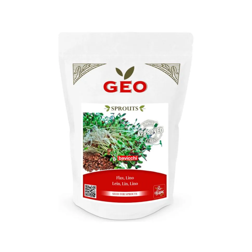 Semillas de lino para germinar, ecológicas - Bavicchi GEO