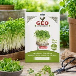 Semillas de Pak Choi blanco para microgreens ecológicas, 15 g - Bavicchi GEO