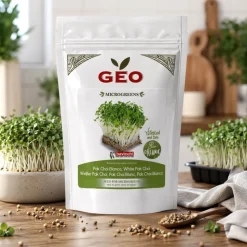 Semillas de Pak Choi blanco para microgreens ecológicas, 200 g - Bavicchi GEO
