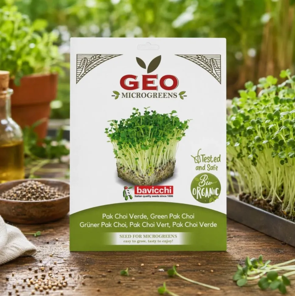 Semillas de Pak Choi verde para microgreens ecológicos, 15 g - Bavicchi GEO