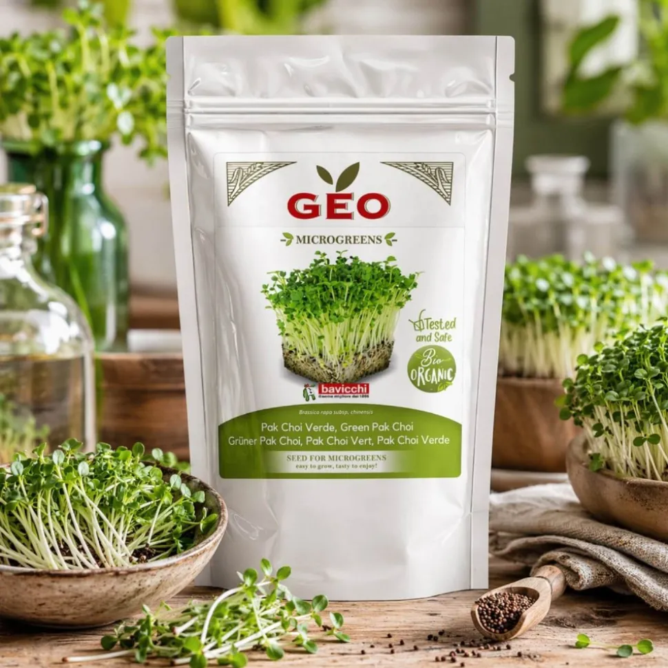Semillas de Pak Choi verde para microgreens ecológicas, 200 g - Bavicchi GEO