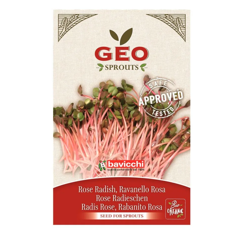 Semillas de rábano rosa para germinar ecológicas - Bavicchi GEO