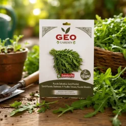 Semillas de rúcula silvestre ecológicas, 2 g - Bavicchi GEO